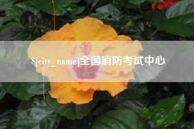 日照全国消防考试中心