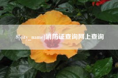 日照消防证查询网上查询