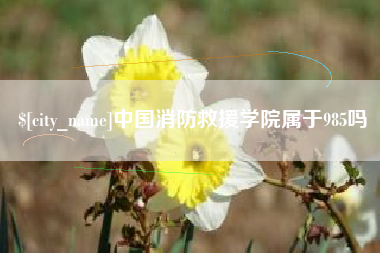 日照中国消防救援学院属于985吗