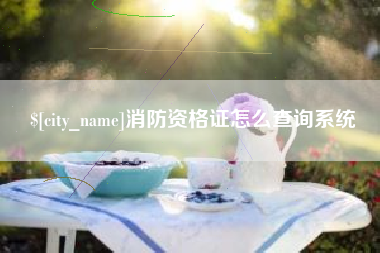 日照消防资格证怎么查询系统