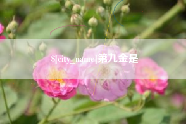 日照第九金是