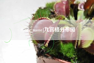 日照九宫格分布图