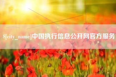 日照中国执行信息公开网官方服务