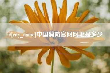 日照中国消防官网网址是多少
