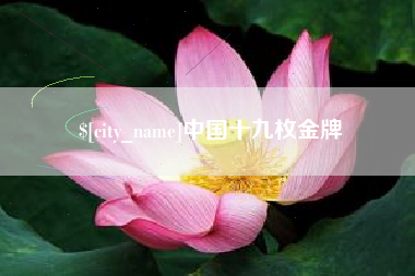 日照中国十九枚金牌