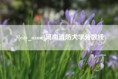 日照河南消防大学分数线