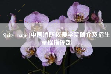 日照中国消防救援学院简介及招生章程指挥部