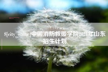 日照中国消防救援学院2021年山东招生计划
