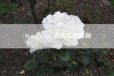 日照消防证的查询