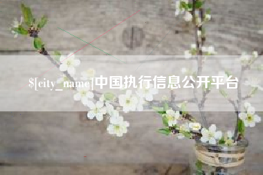 日照中国执行信息公开平台