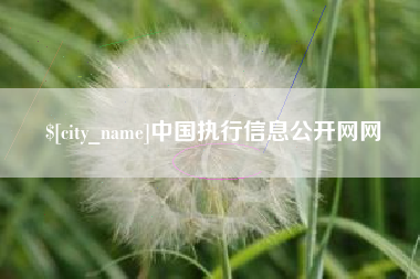 日照中国执行信息公开网网