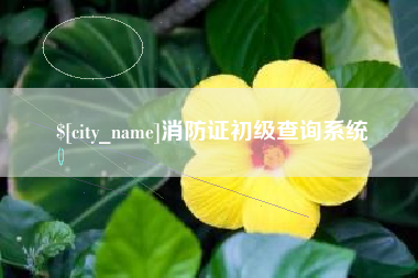 日照消防证初级查询系统