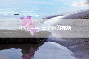 日照王子豪的视频