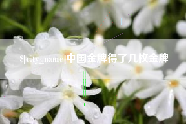 日照中国金牌得了几枚金牌