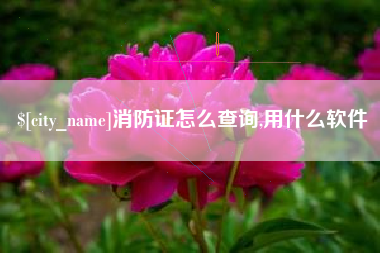 日照消防证怎么查询,用什么软件