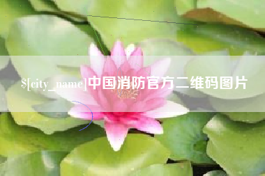 日照中国消防官方二维码图片
