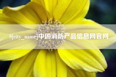 日照中国消防产品信息网官网