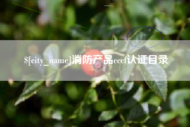 日照消防产品cccf认证目录