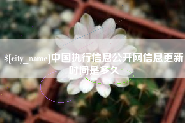 日照中国执行信息公开网信息更新时间是多久