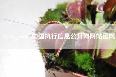 日照中国执行信息公开网网站官网