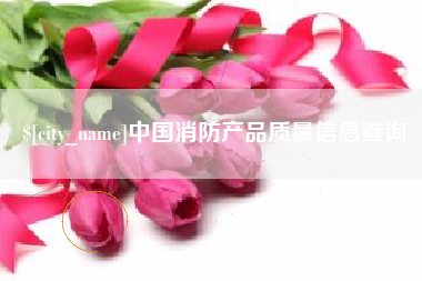 日照中国消防产品质量信息查询