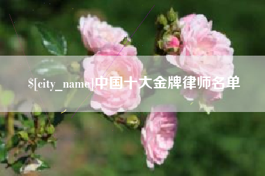 日照中国十大金牌律师名单