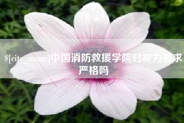 日照中国消防救援学院对视力要求严格吗