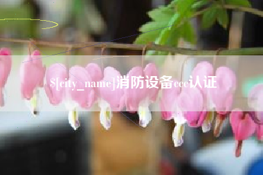 日照消防设备ccc认证
