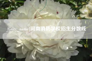 日照河南消防学校招生分数线