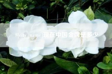 日照现在中国金牌是多少