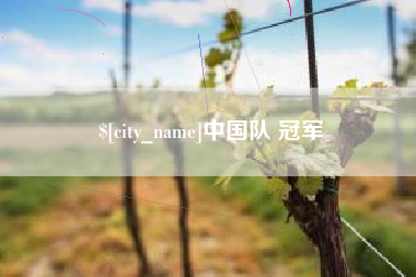 日照中国队 冠军
