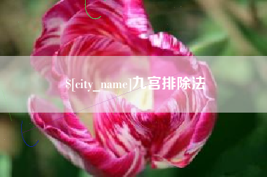日照九宫排除法