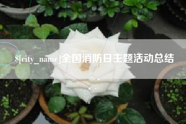 日照全国消防日主题活动总结