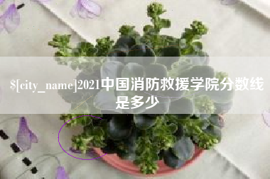 日照2021中国消防救援学院分数线是多少