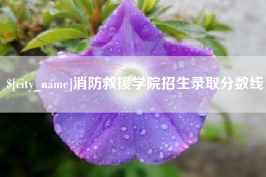 日照消防救援学院招生录取分数线