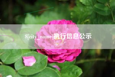 日照执行信息公示