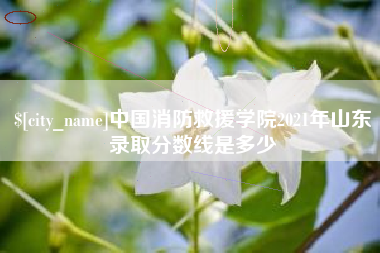 日照中国消防救援学院2021年山东录取分数线是多少