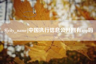 日照中国执行信息公开网有app吗