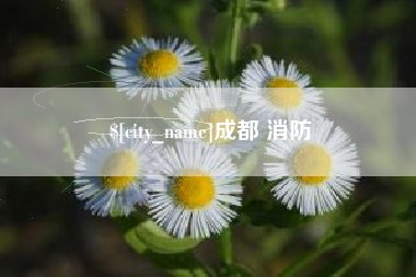 日照成都 消防