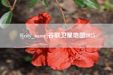 日照谷歌卫星地图2025