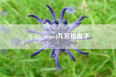 日照九宫格盘子