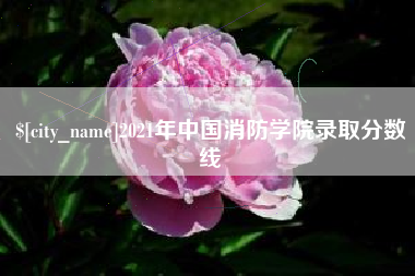 日照2021年中国消防学院录取分数线