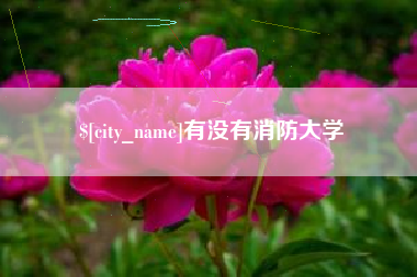 日照有没有消防大学