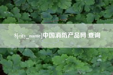 日照中国消防产品网 查询
