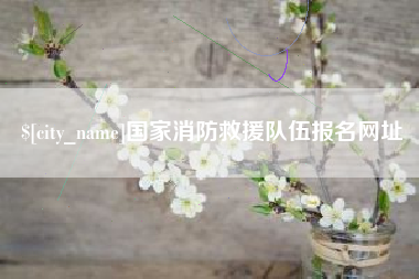 日照国家消防救援队伍报名网址