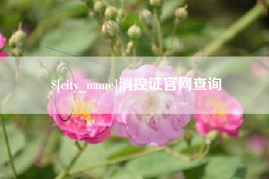 日照消控证官网查询
