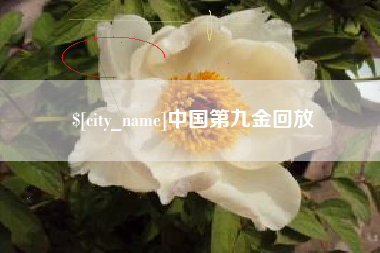日照中国第九金回放
