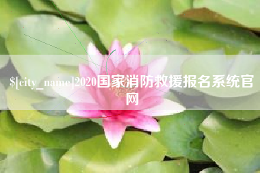 日照2020国家消防救援报名系统官网
