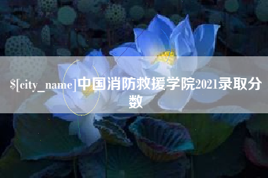 日照中国消防救援学院2021录取分数