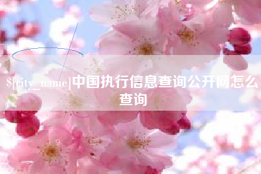 日照中国执行信息查询公开网怎么查询